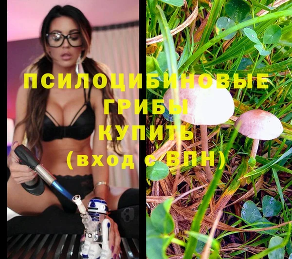 гашишное масло Алексин