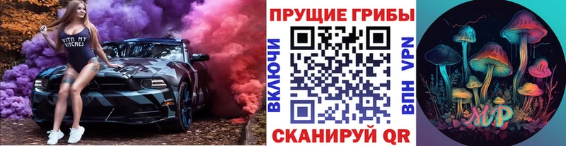 закладки  Дудинка  Галлюциногенные грибы Cubensis 